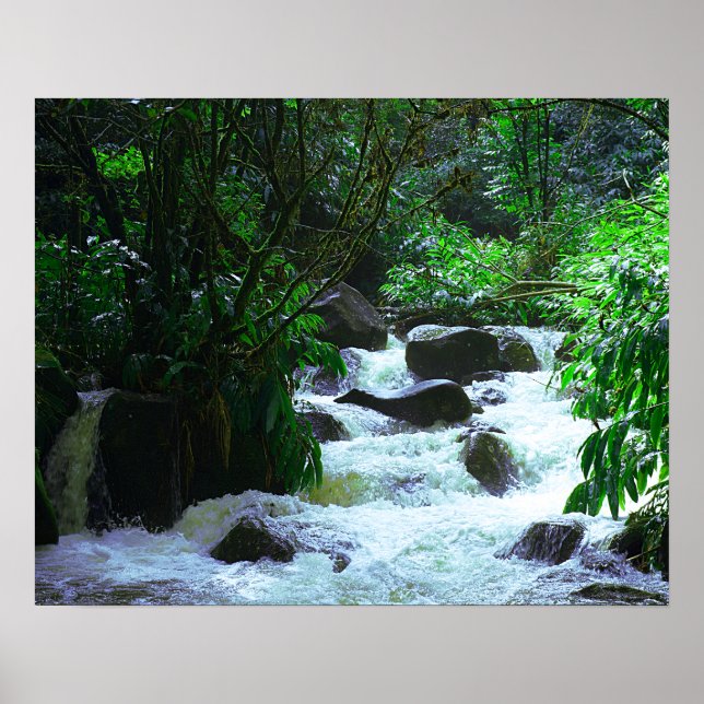 Tropischer Wasserfall Poster (Vorne)