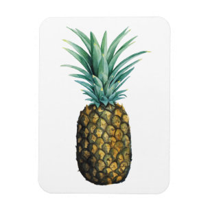 Tropisches Ananas-Aquarell Magnet