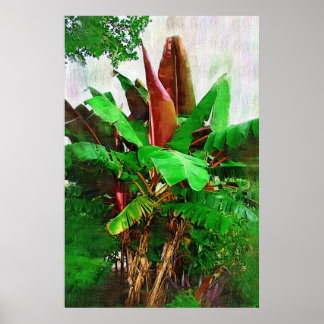Tropisches Bananenwald - Spaziergang im Garten Poster