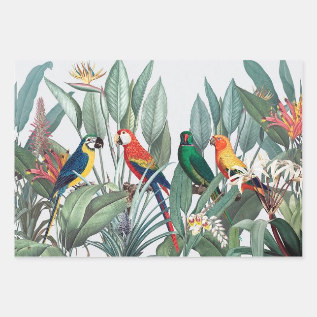 TROPISCHES BIRD LANDSCAPE Wrapping Paper Set Geschenkpapier Set (Vorderseite)