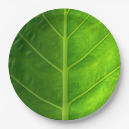 Tropisches Blatt-WegwerfpapierTeller Pappteller