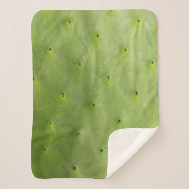 Tropisches botanisches grünes Kaktus-Foto Sherpadecke (Vorderseite)