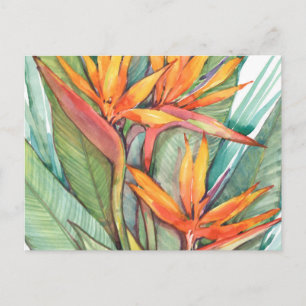 Tropisches botanisches Paradies II Postkarte