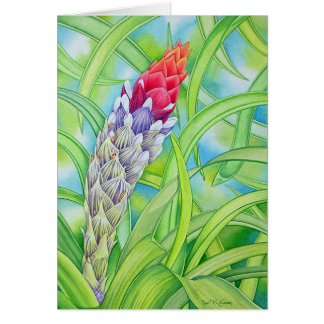 Tropisches Bromeliad (Vorne)