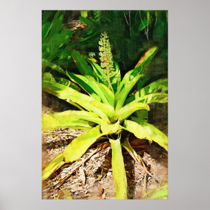 Tropisches Bromeliad - Weg im Garten Poster