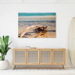 Tropisches Driftwood Bahia Honda Beach Foto Leinwanddruck