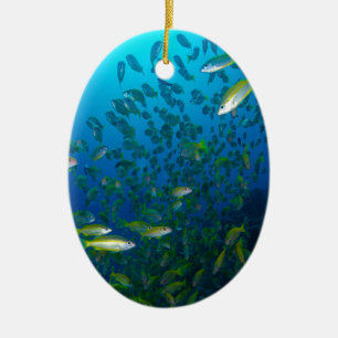 Tropisches Fisch-Great Barrier Reef Korallenmeer Keramik Ornament