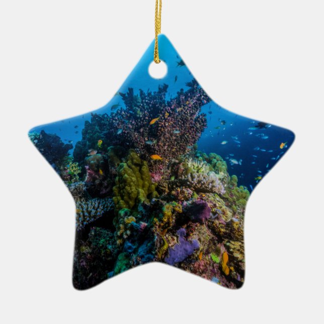 Tropisches Fisch-Great Barrier Reef Korallenmeer Keramik Ornament (Vorne)