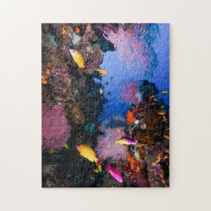 Tropisches Fisch-Great Barrier Reef Korallenmeer Puzzle