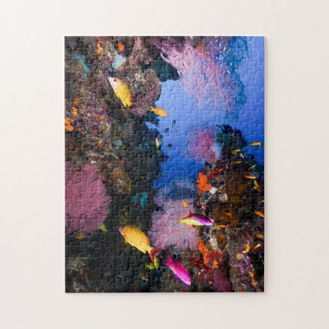 Tropisches Fisch-Great Barrier Reef Korallenmeer Puzzle (Vertikal)
