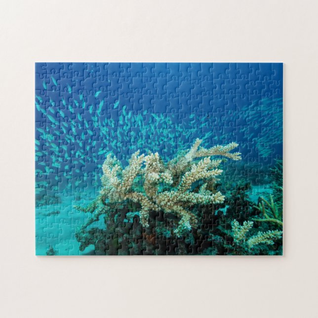 Tropisches Fisch-Great Barrier Reef Korallenmeer Puzzle (Horizontal)