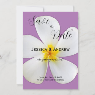 Tropisches Floral, Weiße Plumeria, Lavendel, Hochz Save The Date