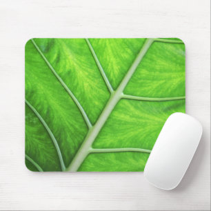 Tropisches grünes Blatt-Beschaffenheits-Natur-Foto Mousepad