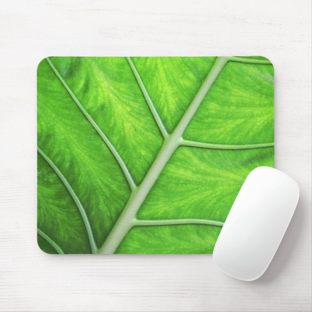 Tropisches grünes Blatt-Beschaffenheits-Natur-Foto Mousepad (Mit Mouse)