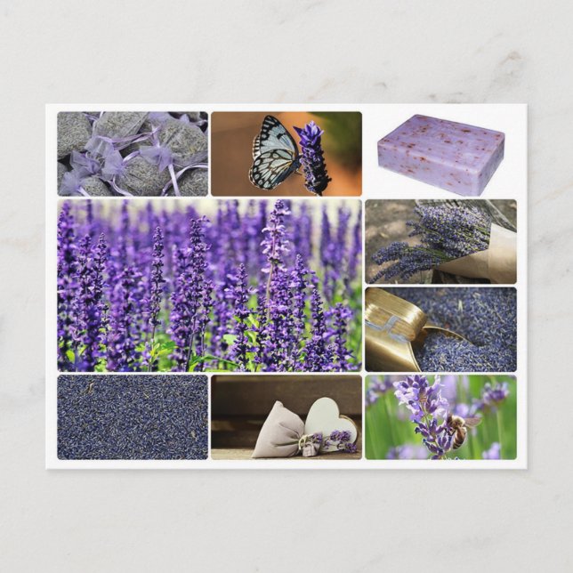 Tropisches Lavendel-Collage-Foto Postkarte (Vorderseite)