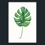 Tropisches Leaf-Poster (Monstera) Poster<br><div class="desc">Tropisches Leaf (Monstera) Aquarellblaster.</div>
