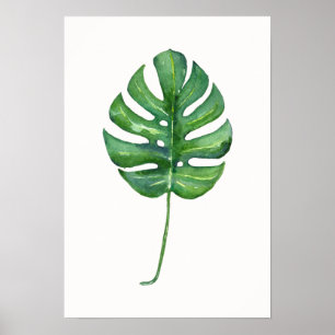 Tropisches Leaf-Poster (Monstera) Poster