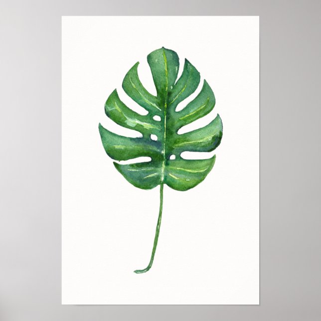Tropisches Leaf-Poster (Monstera) Poster (Vorne)