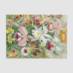 Tropisches Orchid-Blume Blumenzwirn Seidenpapier