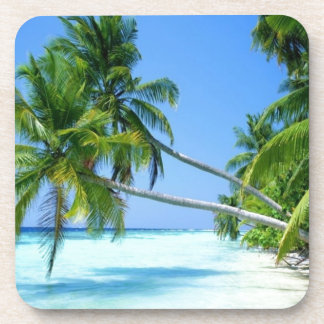 Tropisches Palm Beach! Untersetzer