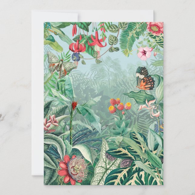 Tropisches Paradies (Vorderseite)