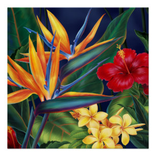 Tropisches Paradies Hawaiian Floral Poster