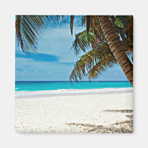 Tropisches Paradies Magnet