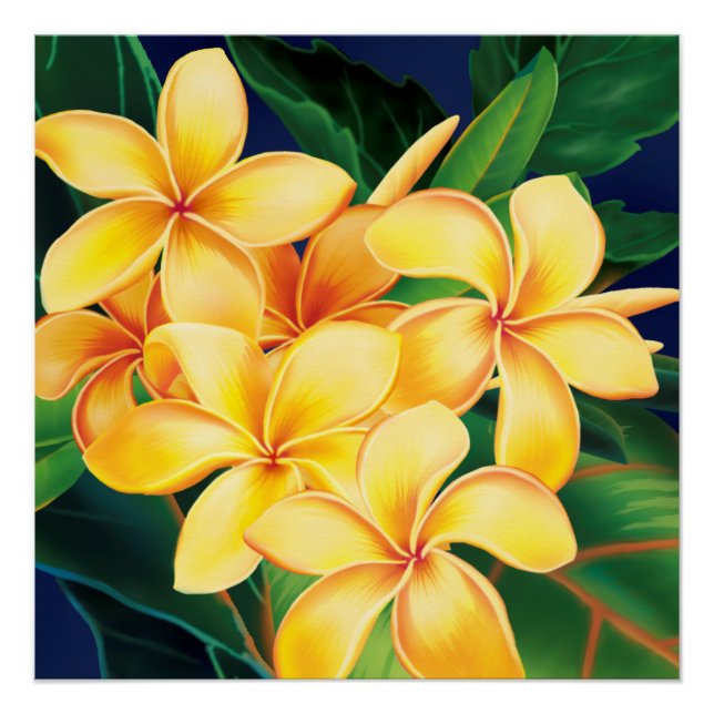 Tropisches Paradies Plumeria Hawaiian Poster (Vorderseite)