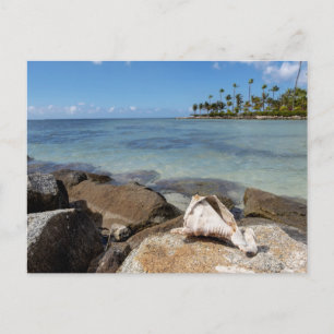 Tropisches Paradies Postkarte