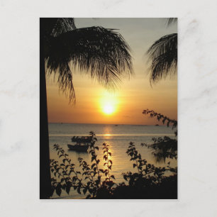 Tropisches Paradies Postkarte