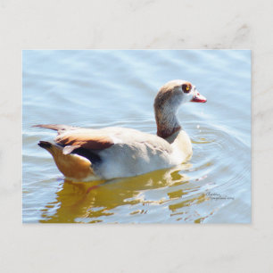 Tropisches Paradies Postkarte