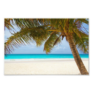 Tropisches Paradies Strand Fotodruck