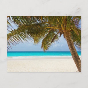 Tropisches Paradies Strand Postkarte