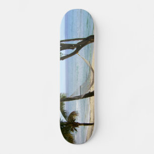 Tropisches Paradies Wasser Strand Sand Surfen Schi Skateboard