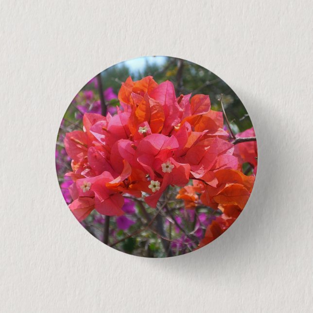 Tropisches Pink Bougainvillea Insel Floral Button (Vorderseite)