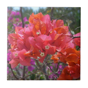 Tropisches Pink Bougainvillea Insel Floral Fliese