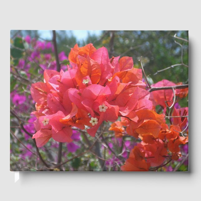 Tropisches Pink Bougainvillea Insel Floral Gästebuch (Vorderseite)