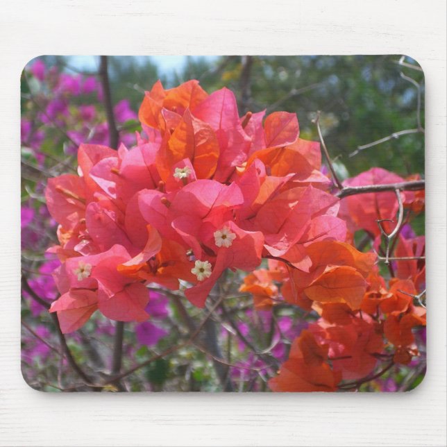 Tropisches Pink Bougainvillea Insel Floral Mousepad (Vorne)