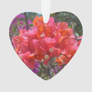 Tropisches Pink Bougainvillea Insel Floral Ornament