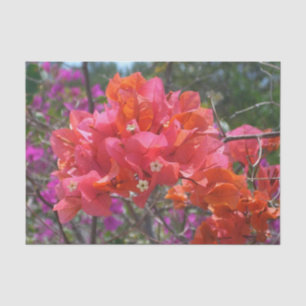 Tropisches Pink Bougainvillea Insel Floral Seidenpapier
