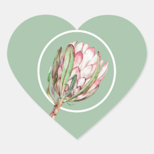 Tropisches Pink-Protea-Flora auf Minze Herz-Aufkleber