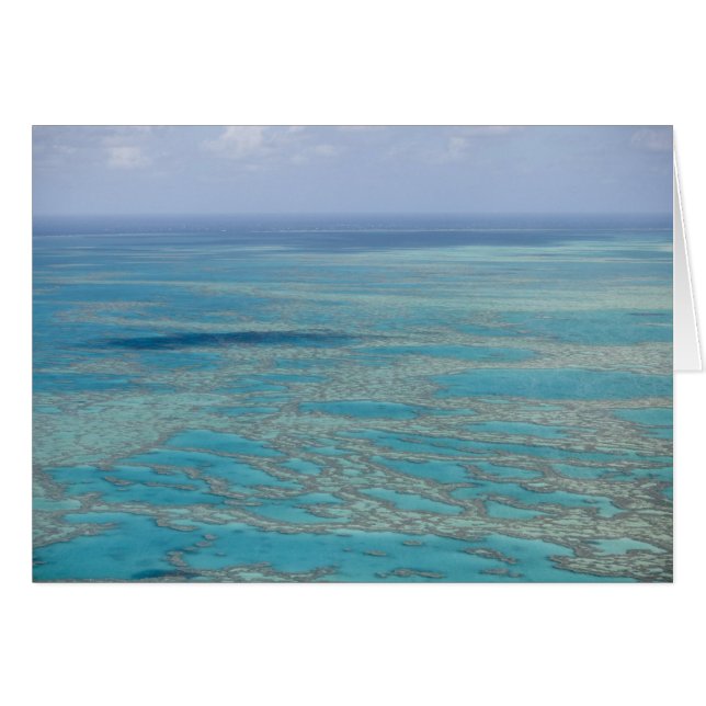 Tropisches Riff, Great Barrier Reef, Queensland (Vorderseite (Horizontal))