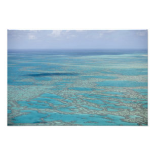 Tropisches Riff, Great Barrier Reef, Queensland, Fotodruck