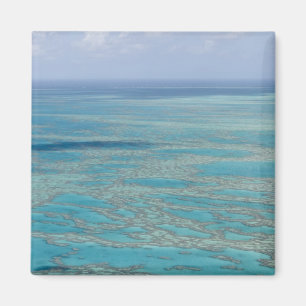 Tropisches Riff, Great Barrier Reef, Queensland, Magnet
