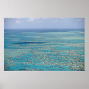 Tropisches Riff, Great Barrier Reef, Queensland, Poster