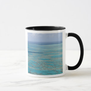 Tropisches Riff, Great Barrier Reef, Queensland, Tasse