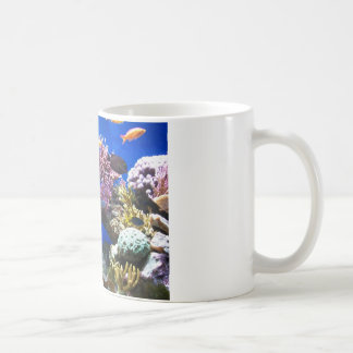 Tropisches Riff Tasse