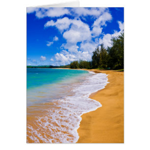 Tropisches Strandparadies, Hawaii