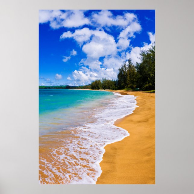 Tropisches Strandparadies, Hawaii Poster (Vorne)