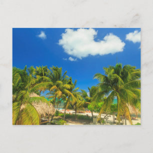 Tropisches Strandresort, Belize Postkarte